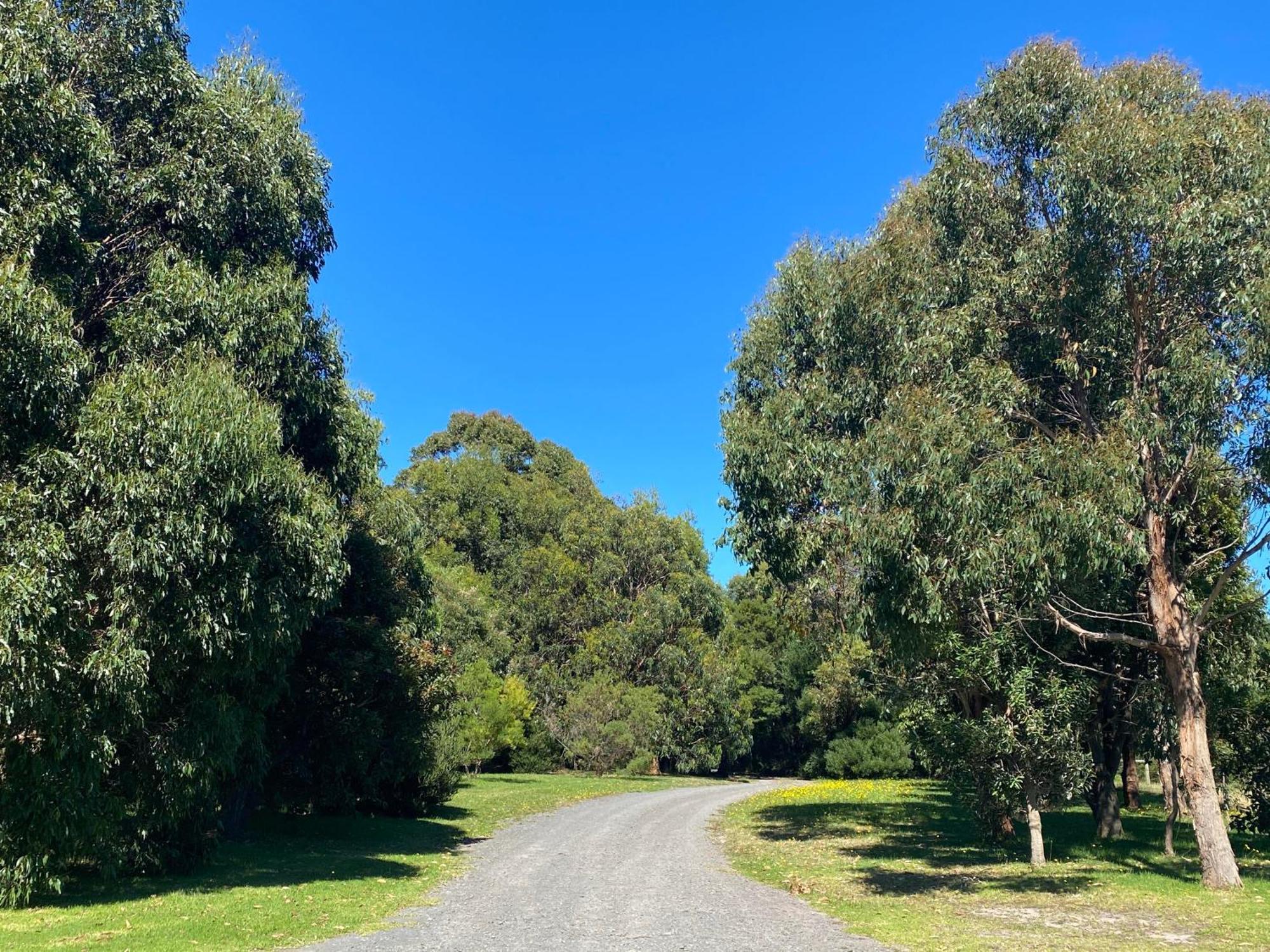 Great Ocean Road Wellness And Nature Stay Apollo Bay Exterior foto