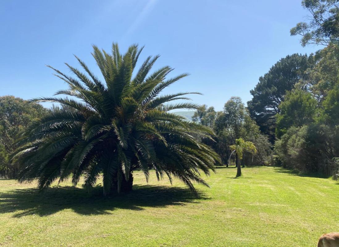 Great Ocean Road Wellness And Nature Stay Apollo Bay Exterior foto